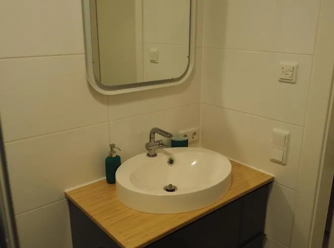 Ahorn 4 غوربمينغ