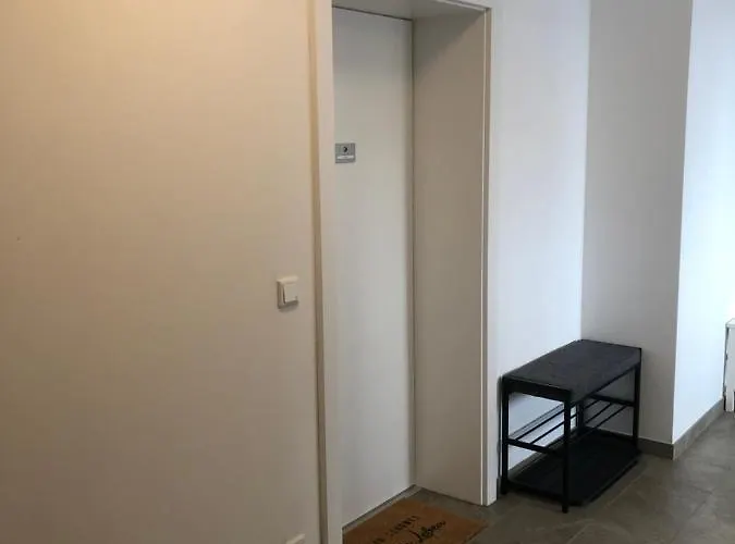 Ahorn 4 * 格洛博明