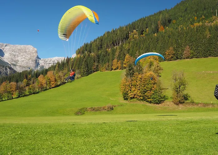 Ahorn 4 غوربمينغ